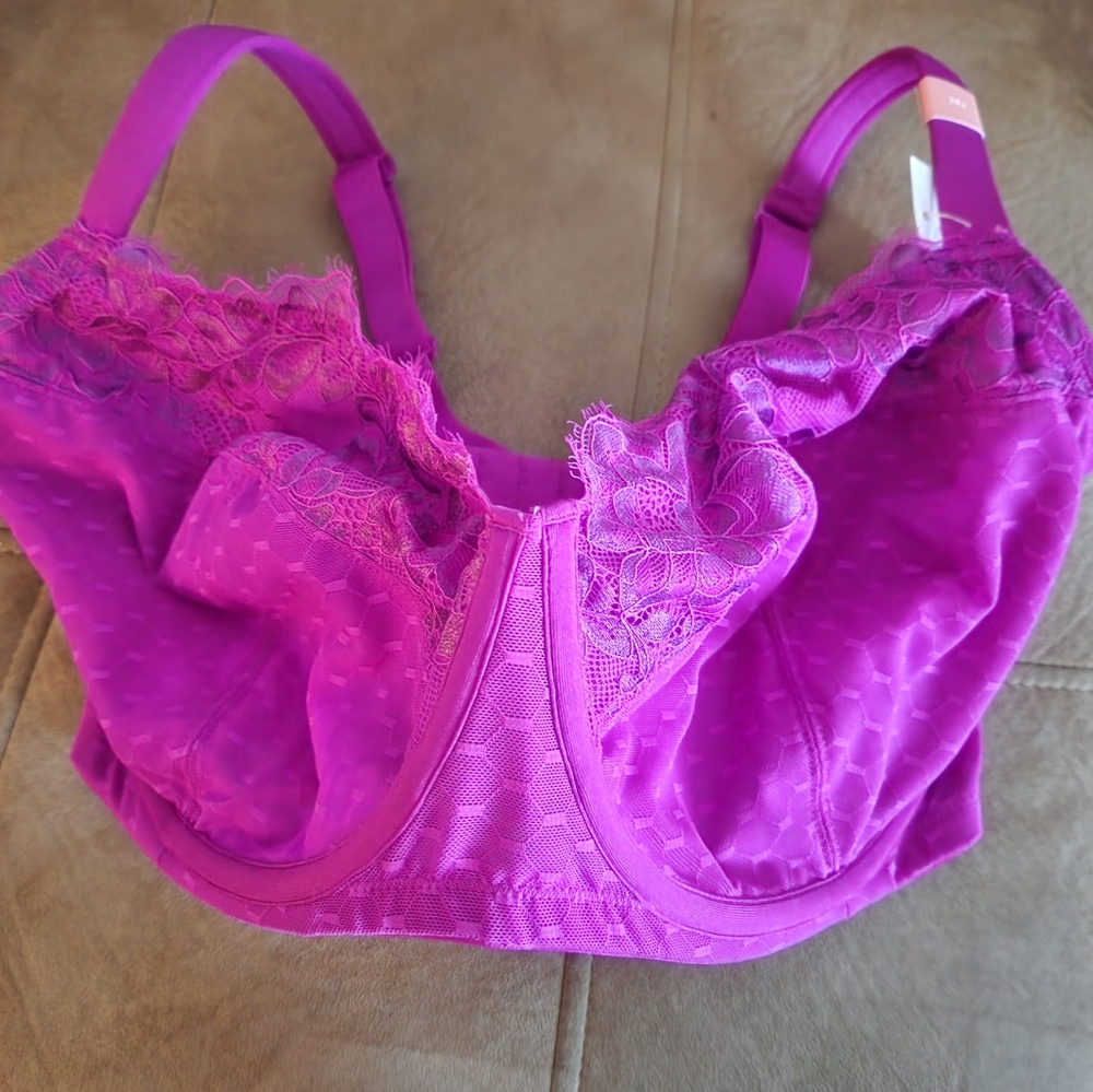 Lane Bryant bra